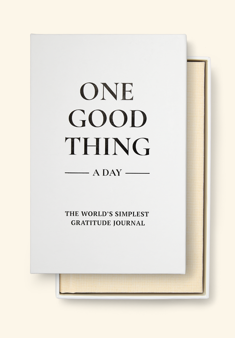 One Good Thing a Day
